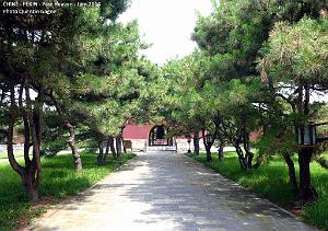 098- Pekin Heaven